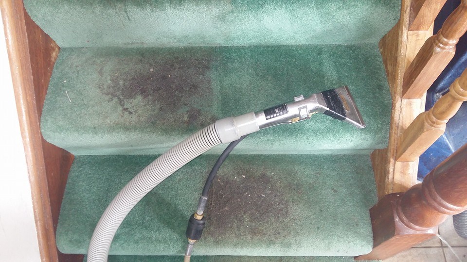 Carpet Cleaning Cork Carrigaline Sofa Rug Leather Affordable & Local